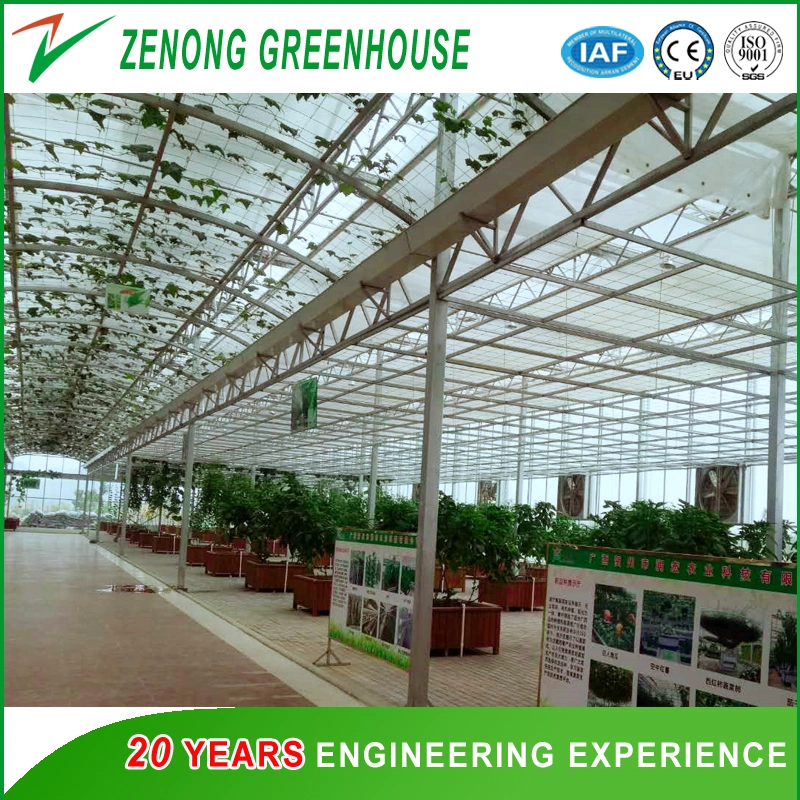 Various Types of Green House Hydroponics Products for Tourism Sightseeing/Gardening/Experiment