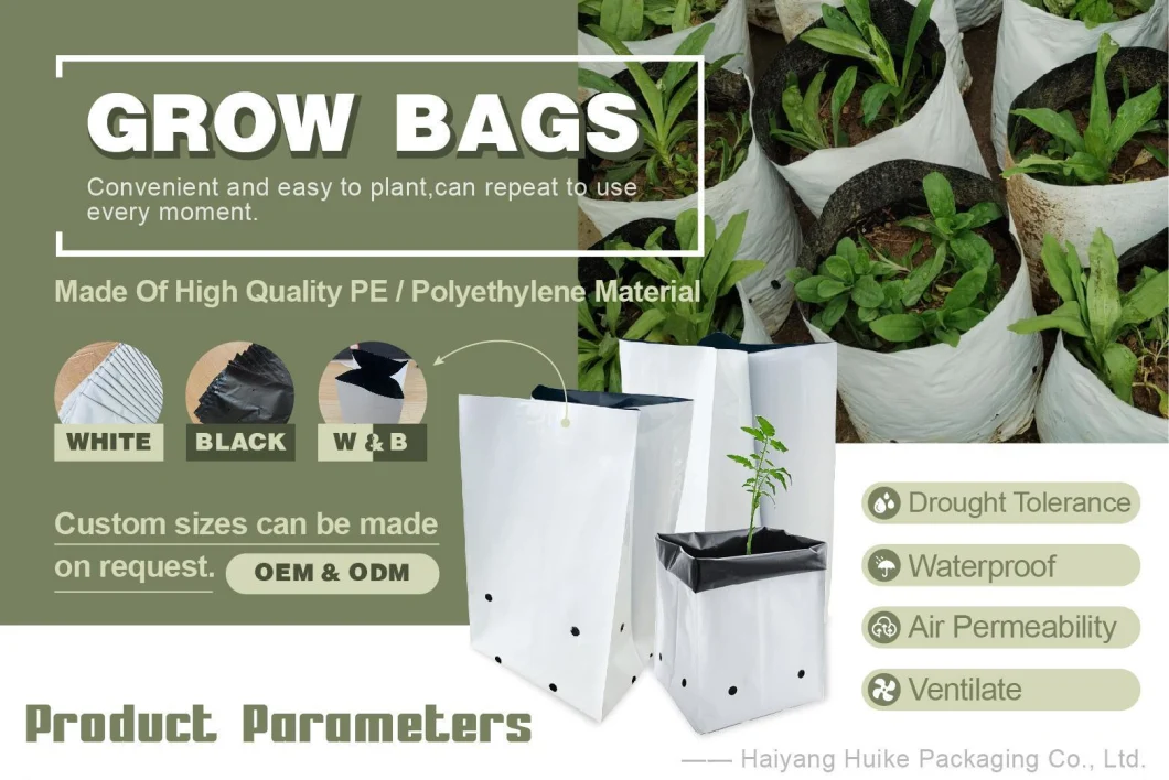 PE Polyethylene Perforated Planting Bag Plastic UV Protection Nursery Fruit Flower Grow Bags