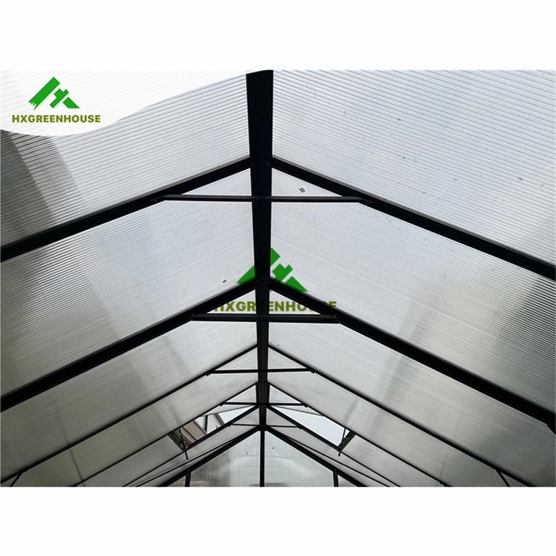 Hot Sale 10mm Polycarbonate Huixin Green Houses Aluminum Frame House Other Garden Greenhouse