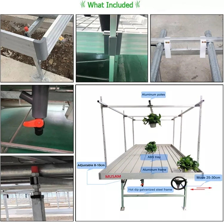 Greenhouse Nursery Equipment Movable Grow Table Seedbed Rolling Benches for Plant