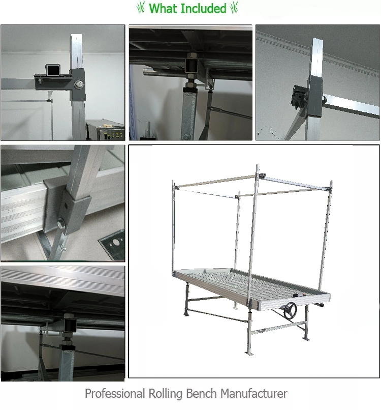 Ebb and Flow Rolling Benches Grow Table From China Factory