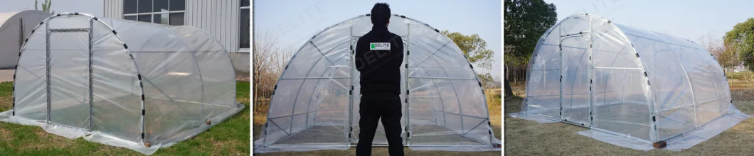 3X6X2m Hoop House Polytunnel Garden Greenhouse for Vegetable Growing Fruit