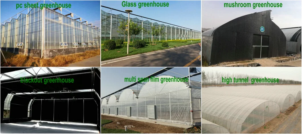 Low Cost Agricultural Home Mini Garden Greenhouse Grow Tent Invernadero for Sale