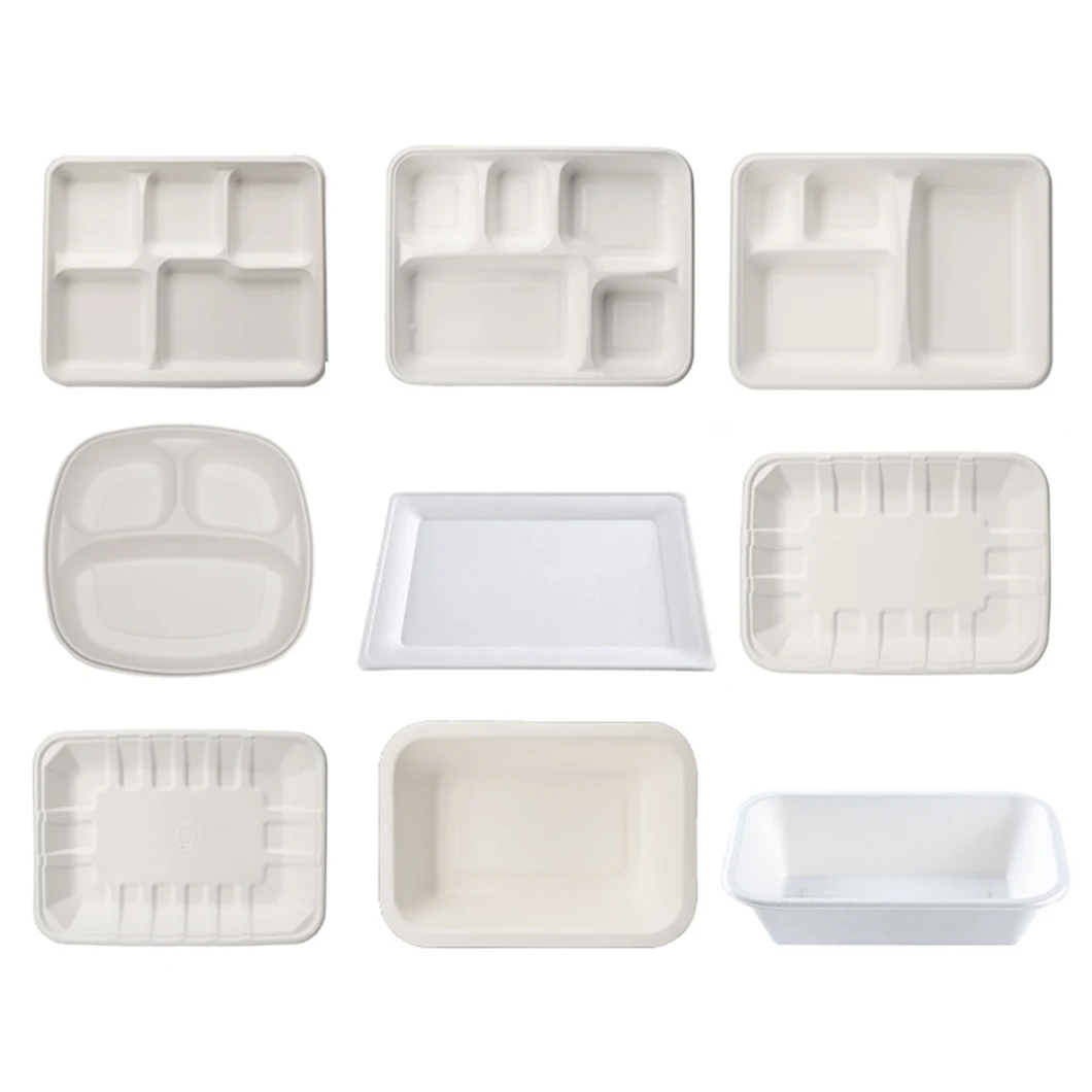 Disposable Compostable Bagasse Sugarcane Paper Party Supplies