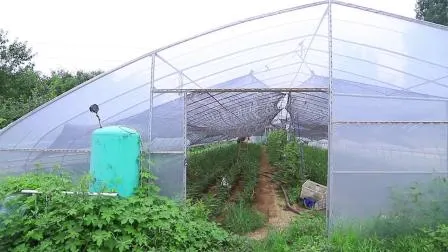 Agricultura Invernadero de jardín de película tipo arco de un tramo con sistema de cultivo hidropónico para agricultura/ aves de corral/ verduras/ tomates/ fresas