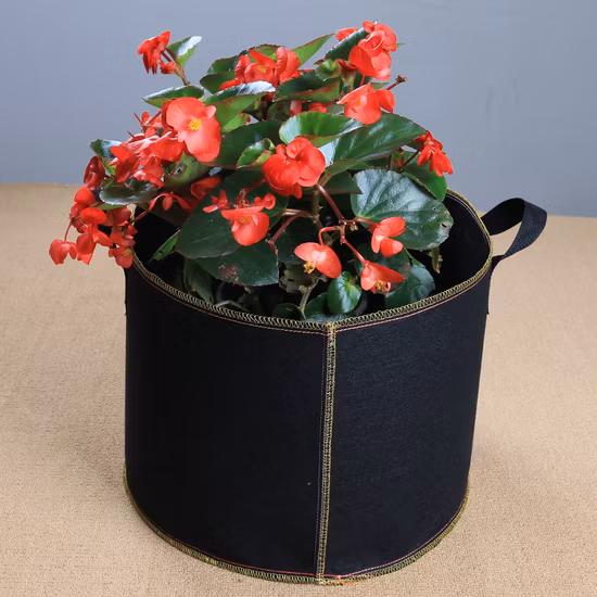Bolsas de cultivo que se pueden abrir de 5 galones no tóxicas de todos los tamaños para vivero