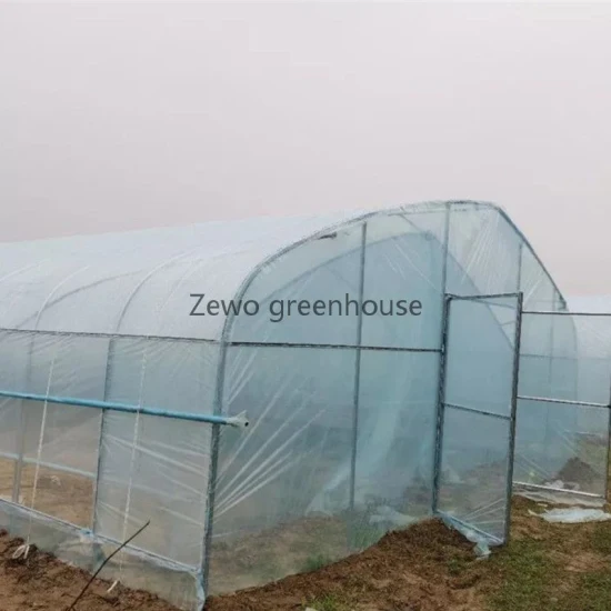 Mini túnel de jardín agrícola de bajo costo para el hogar, invernadero cubierto con PVC para almacén/flor/casa prefabricada