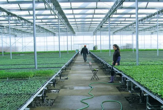 Mesa de cultivo de invernadero de semillero de reflujo y flujo, banco rodante móvil para plántulas/reproducción