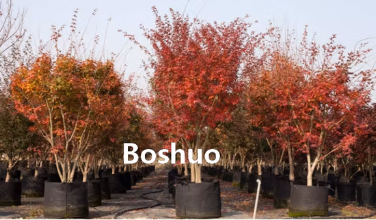 Heavy Duty Garden Plástico Siembra Plántulas Vivero Propagación Plantas Contenedor de semillas 28 32 50 72 105 128 200 288 Células redondas cuadradas para hierbas Árboles Berry China