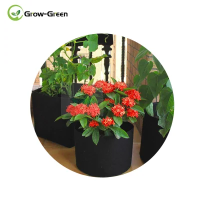 Grow-Green - Paquete de 6 bolsas de cultivo de plantas de 5 galones para macetas de tela de aireación de patatas/verduras/no tejidas con asas (negro)