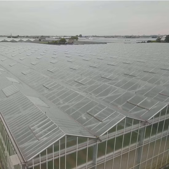 Montaje rápido Invernadero de aluminio Policarbonato resistente al agua Flor de jardín Casa verde (RDGU0812-6mm)