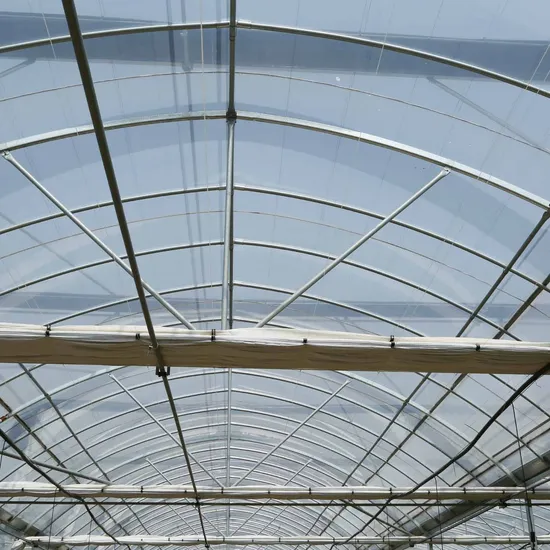 Jardín de invierno de lujo Casa de plantas al aire libre Mini invernadero